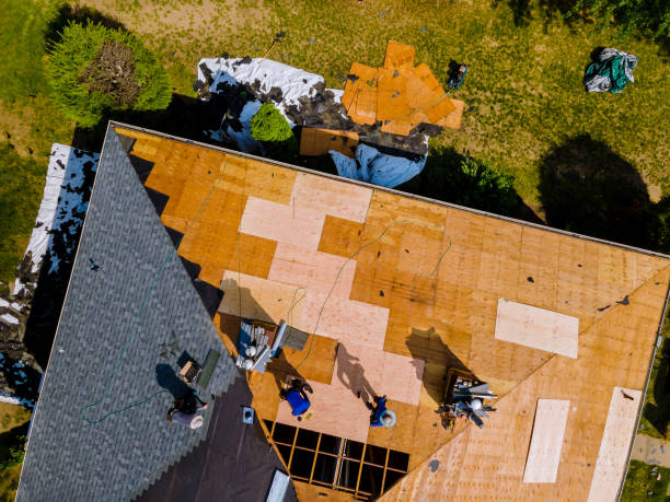 Best Roof Leak Repair  in Reed City, MI