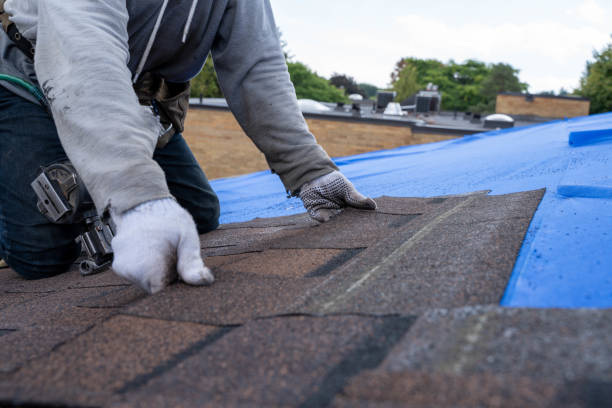Best Sealant for Roof  in Reed City, MI