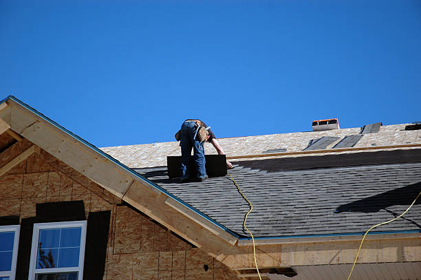 Best Roof Repair Services  in Reed City, MI