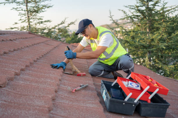Best New Roof Installation  in Reed City, MI