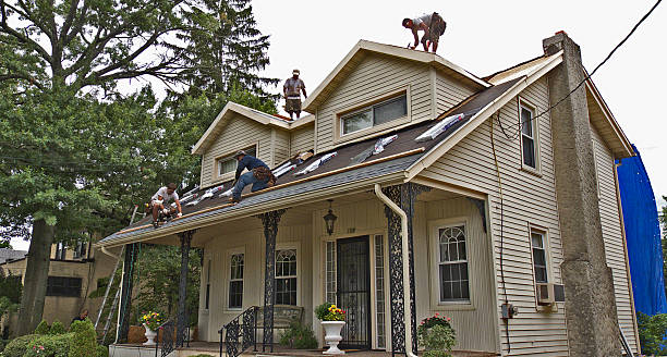 Best Metal Roofing Contractor  in Reed City, MI