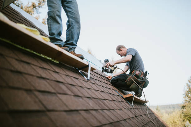 Best Local Roofing Companies  in Reed City, MI