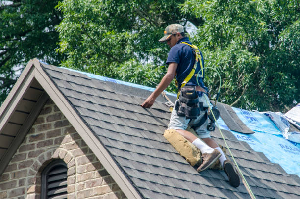 Quick and Trustworthy Emergency Roof Repair Services in Reed City, MI